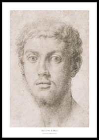 Hoofd van een man door Agnolo Bronzino-0