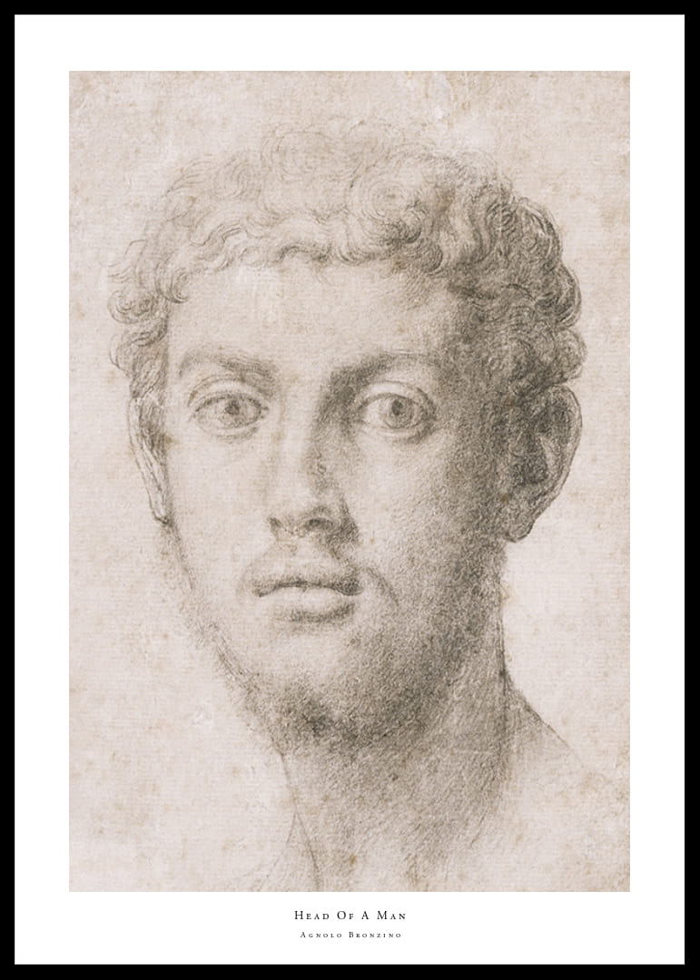 Hoofd van een man door Agnolo Bronzino-12