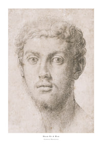 Hoofd van een man door Agnolo Bronzino-1