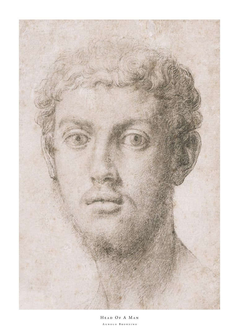 Hoofd van een man door Agnolo Bronzino-12