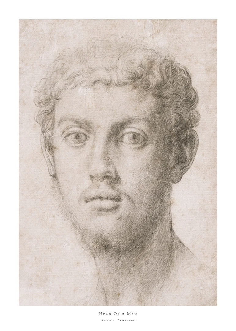 Head Of A Man By Agnolo Bronzino-12