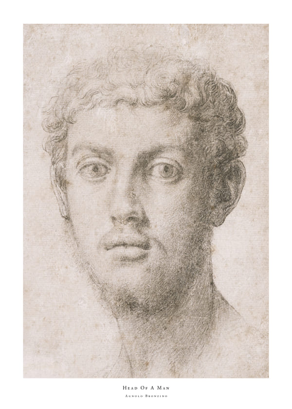 Poster Head Of A Man By Agnolo Bronzino