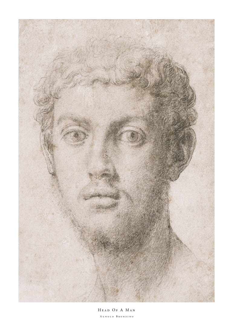 Hoofd van een man door Agnolo Bronzino-12