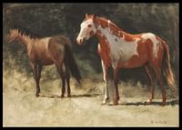 Twee paarden door Albert Bierstadt-2