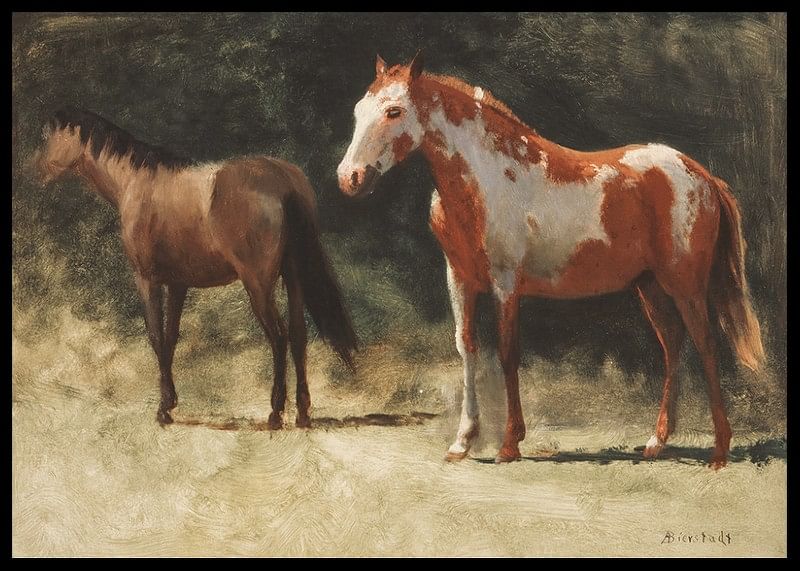 Twee paarden door Albert Bierstadt-12