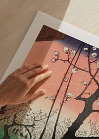 Slivková záhrada, Kameido Ando Hiroshige-5