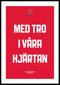 Med Tro Örebro Hockey-0