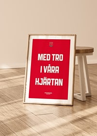 Med Tro Örebro Hockey-4