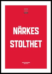 Närkes Stolthet Örebro Hockey-0