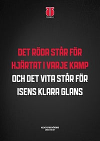 Det Röda Örebro Hockey-3