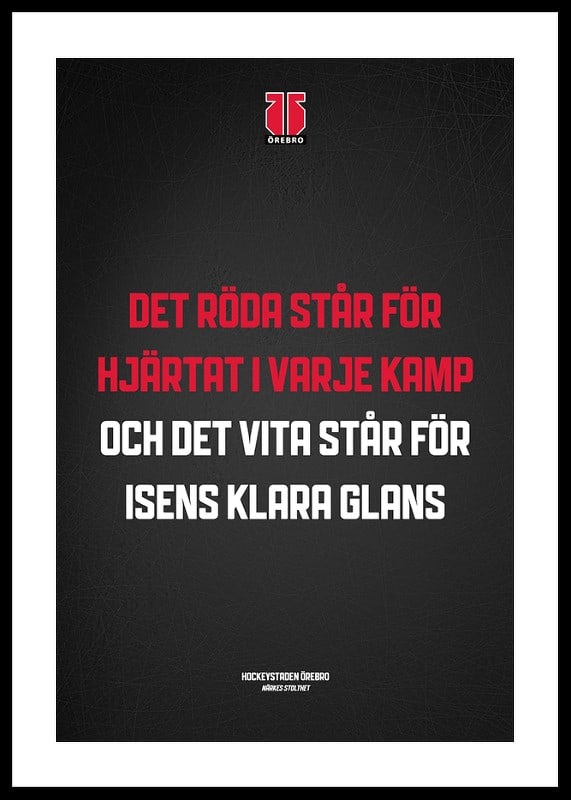 Det Röda Örebro Hockey-12