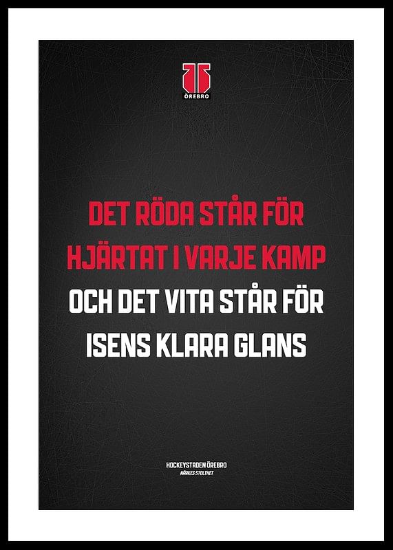 Det Röda Örebro Hockey-12