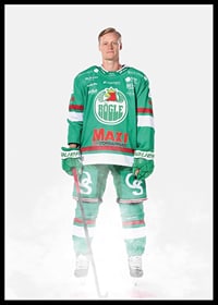 Anton Bengtsson #28 Rögle BK 2024/2025-2