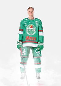 Anton Bengtsson #28 Rögle BK 2024/2025-3