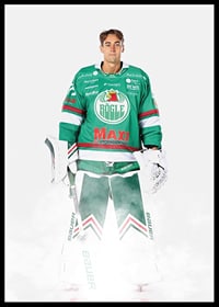 Arvid Holm #25 Rögle BK 2024/2025-2