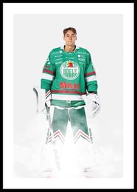 Arvid Holm #25 Rögle BK 2024/2025-0