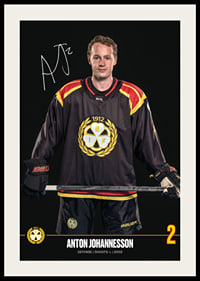Anton Johannesson #2 Brynäs IF 2024/2025-2