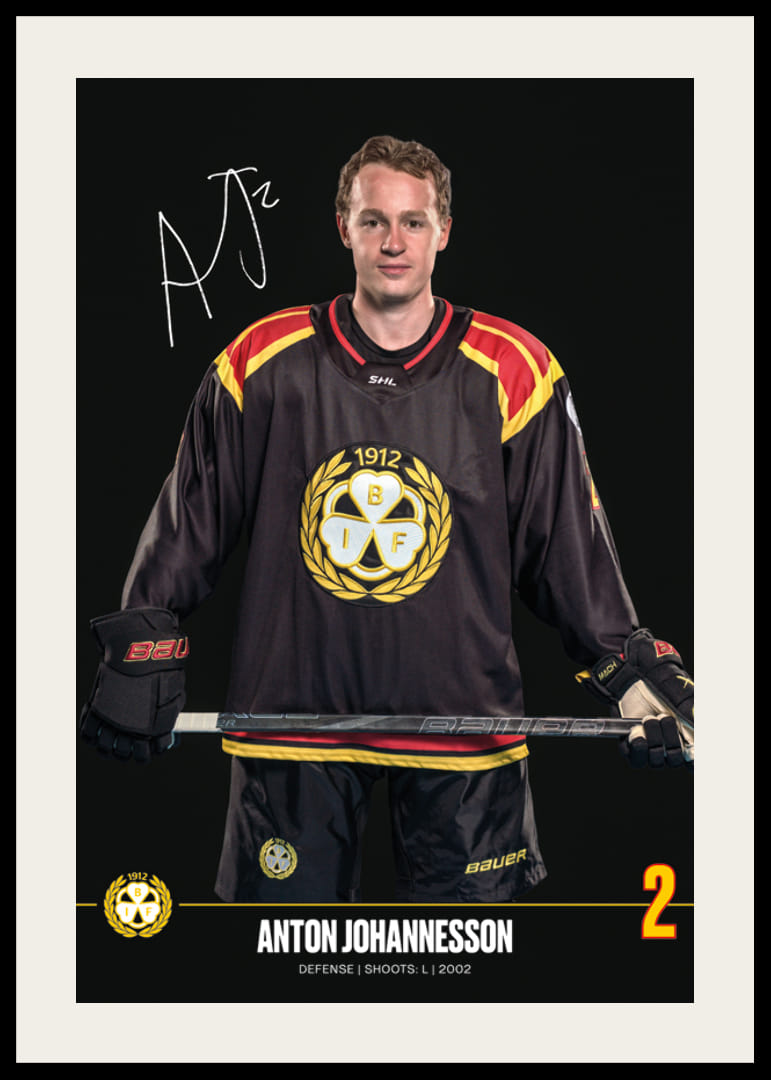 Anton Johannesson #2 Brynäs IF 2024/2025-12