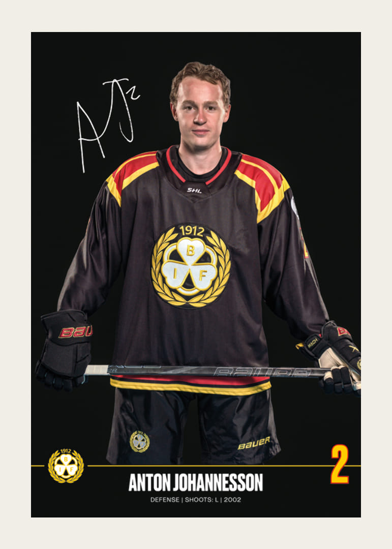 Anton Johannesson #2 Brynäs IF 2024/2025-12