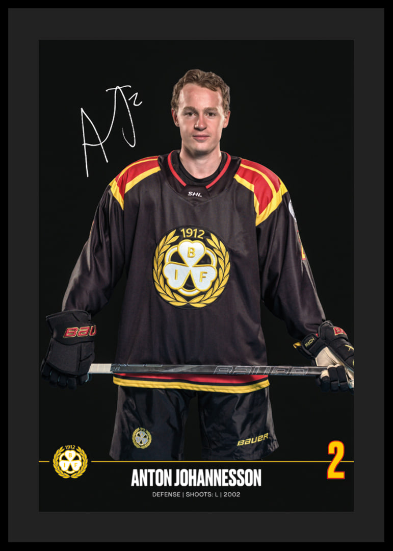Anton Johannesson #2 Brynäs IF 2024/2025-12