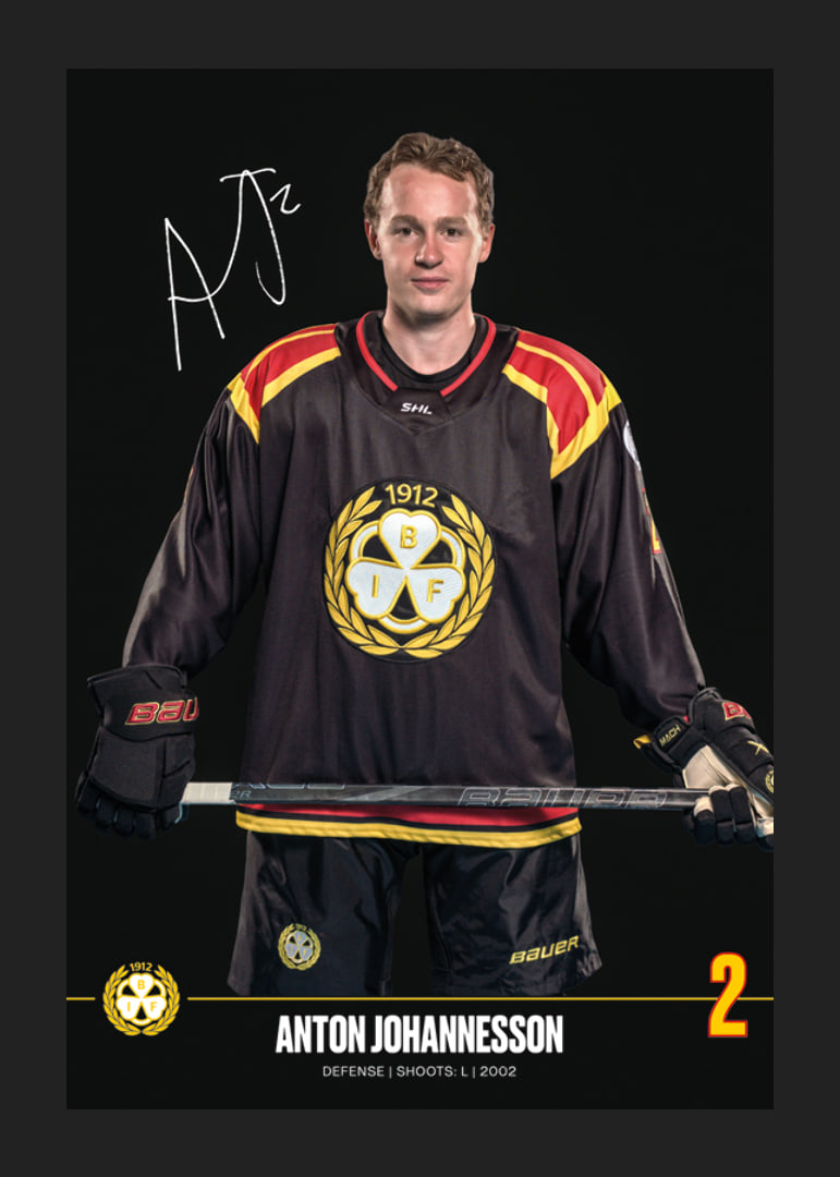 Anton Johannesson #2 Brynäs IF 2024/2025-12