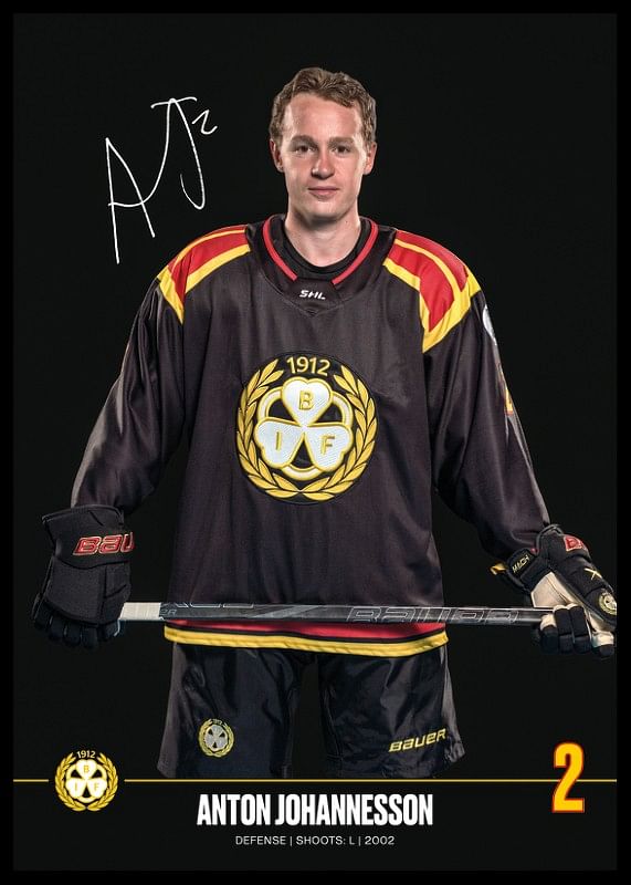 Anton Johannesson #2 Brynäs IF 2024/2025-12