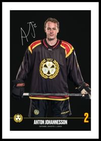 Anton Johannesson #2 Brynäs IF 2024/2025-0