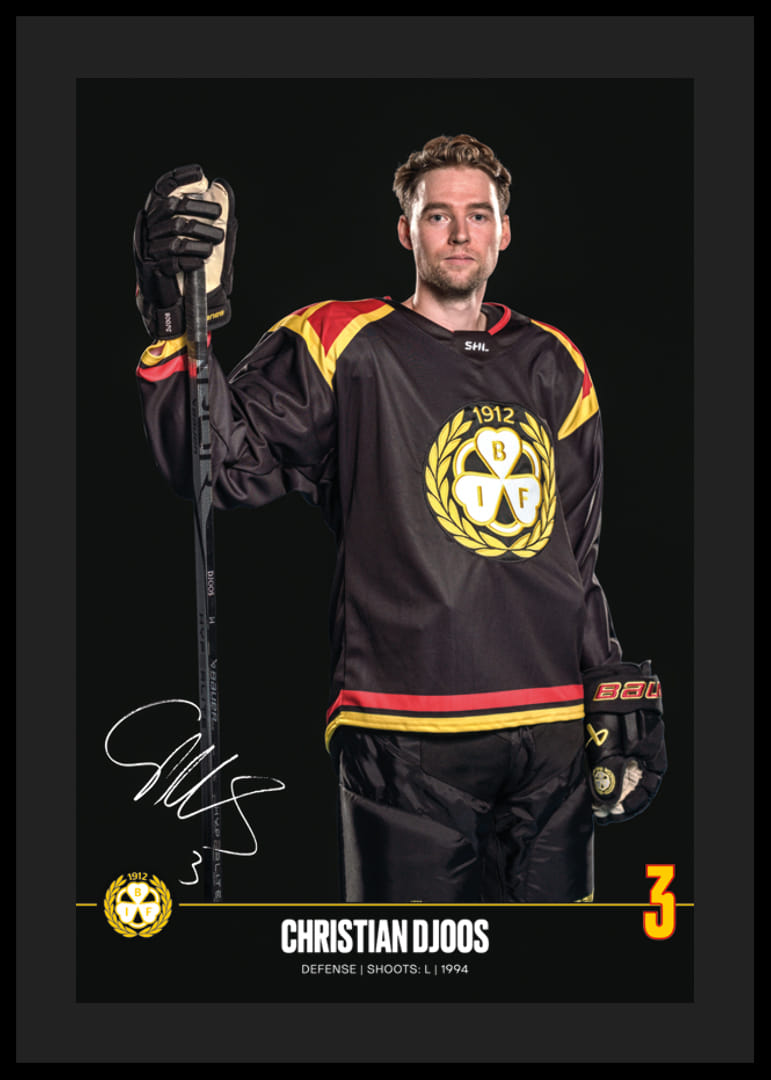 Christian Djoos #3 Brynäs IF 2024/2025-12