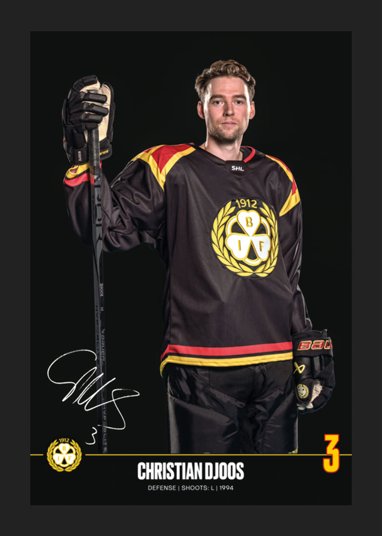 Christian Djoos #3 Brynäs IF 2024/2025-12