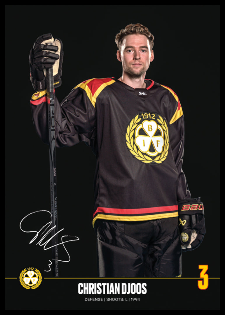Christian Djoos #3 Brynäs IF 2024/2025-12