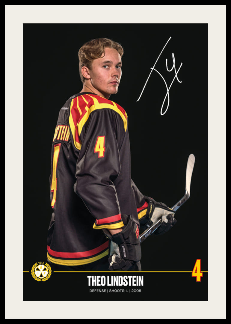 Theo Lindstein #4 Brynäs IF 2024/2025-12