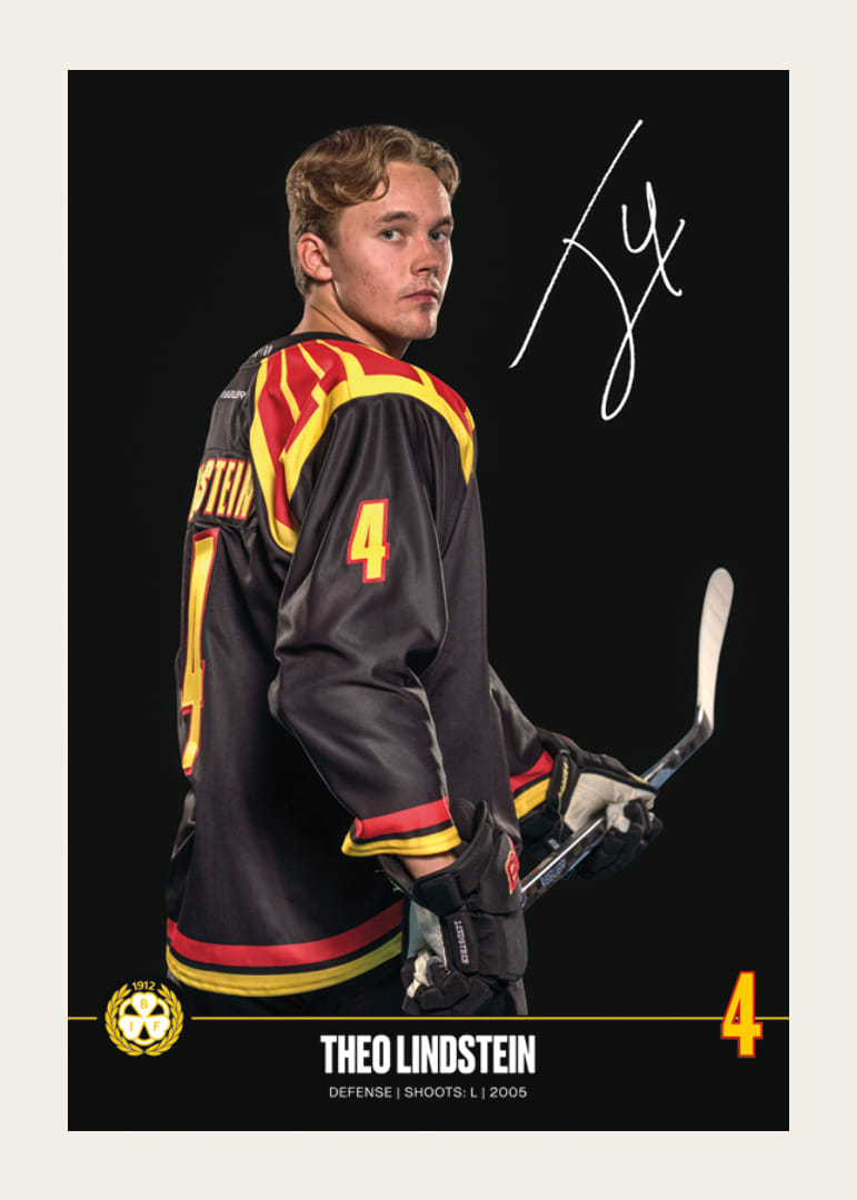 Theo Lindstein #4 Brynäs IF 2024/2025-12