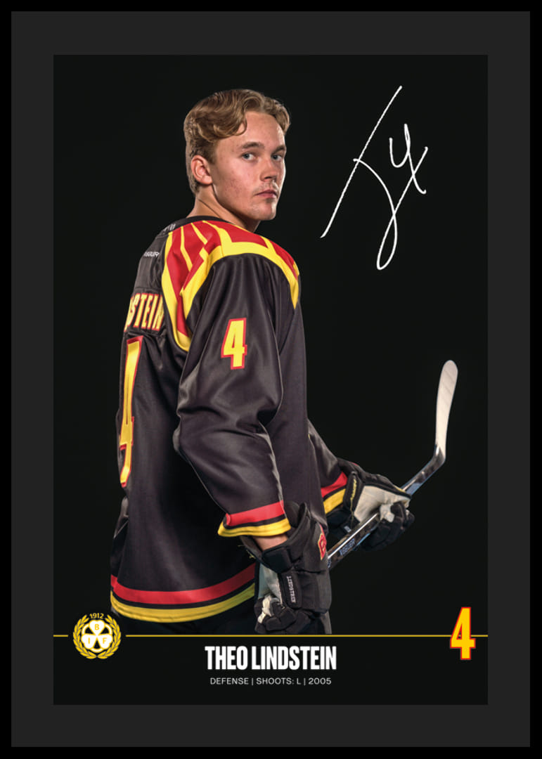 Theo Lindstein #4 Brynäs IF 2024/2025-12
