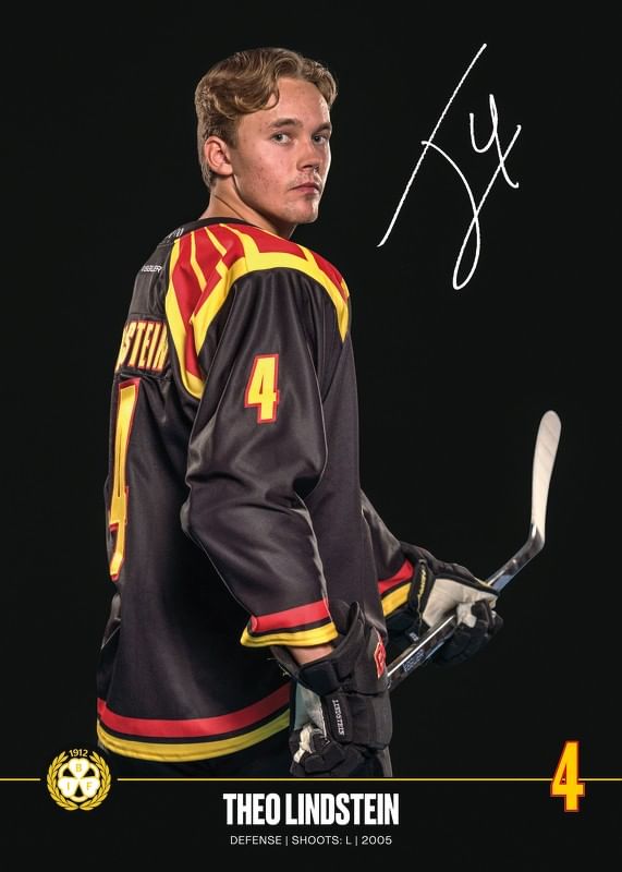 Theo Lindstein #4 Brynäs IF 2024/2025-12