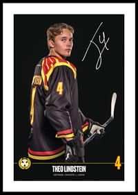 Theo Lindstein #4 Brynäs IF 2024/2025-0