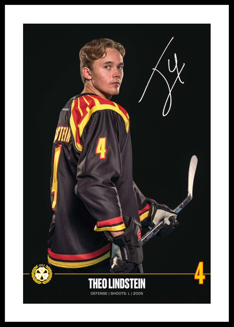Theo Lindstein #4 Brynäs IF 2024/2025-12