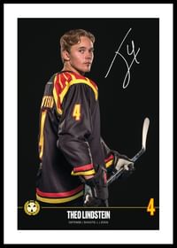 Theo Lindstein #4 Brynäs IF 2024/2025-0