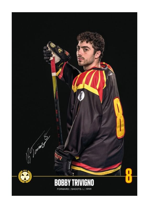 Poster Bobby Trivigno #8 Brynäs IF 2024/2025