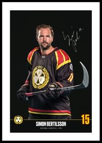 Simon Bertilsson #15 Brynäs IF 2024/2025-0