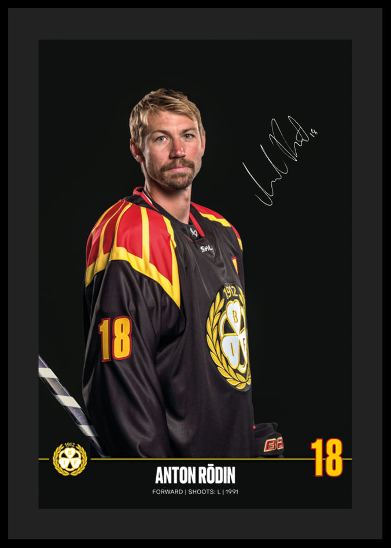 Anton Rödin #18 Brynäs IF 2024/2025-12