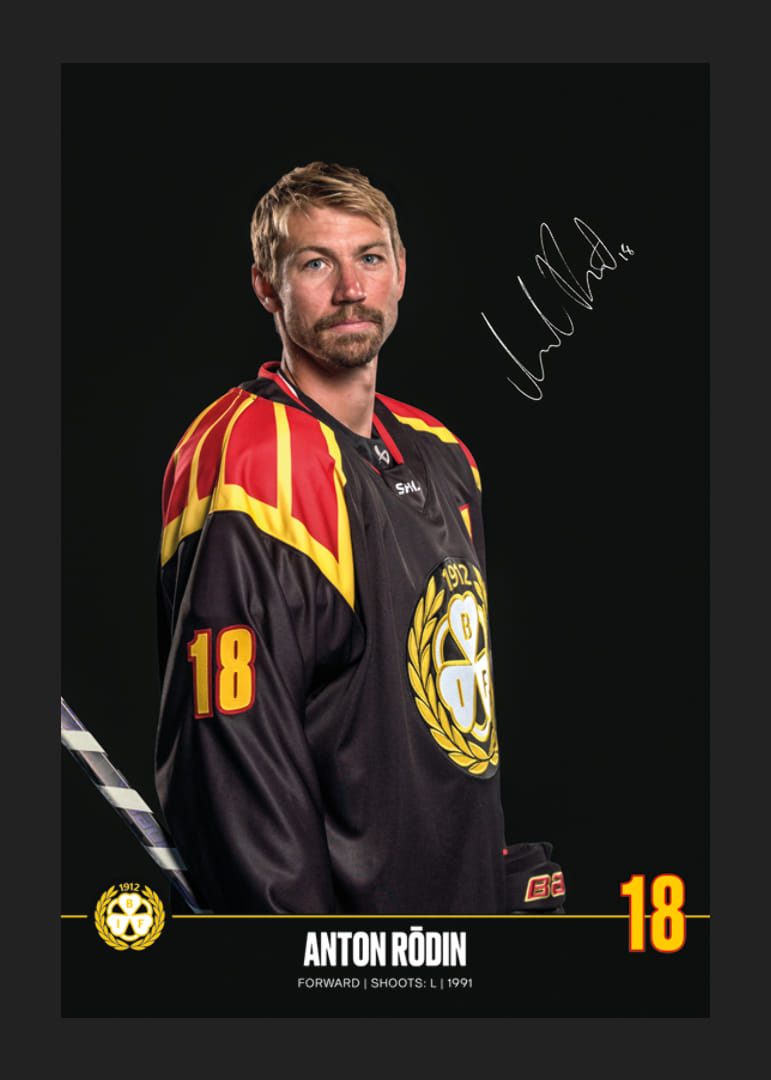 Anton Rödin #18 Brynäs IF 2024/2025-12