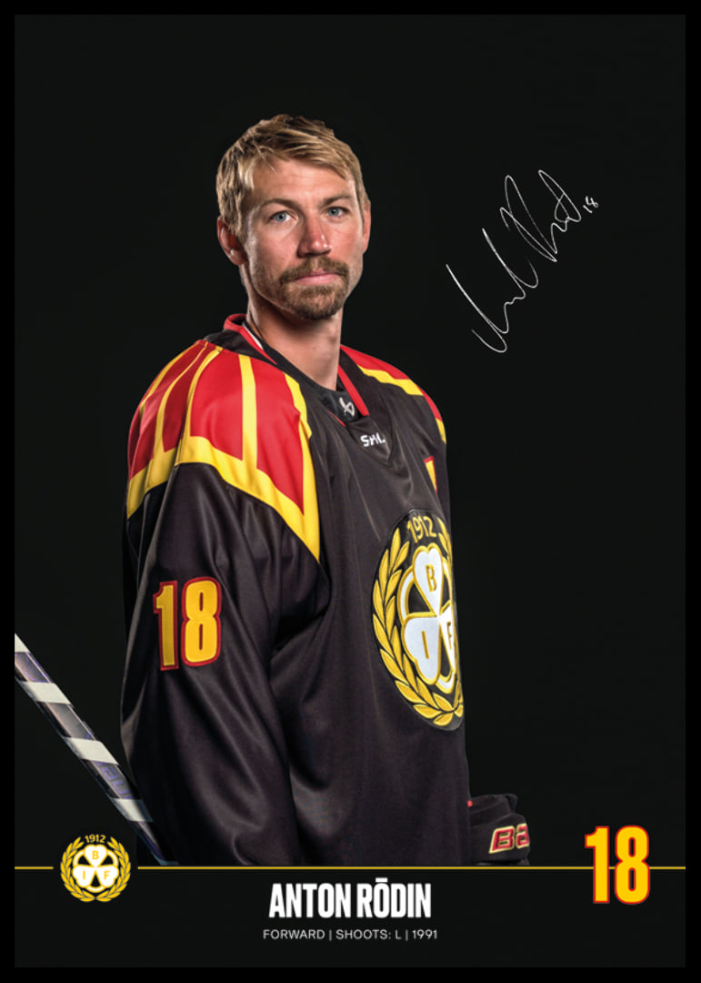 Anton Rödin #18 Brynäs IF 2024/2025-12