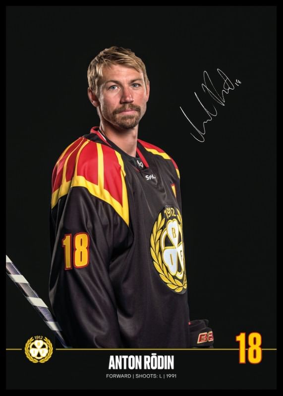 Anton Rödin #18 Brynäs IF 2024/2025-12