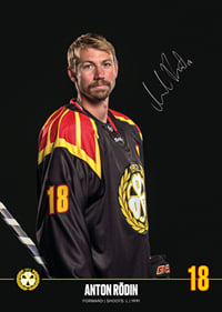 Anton Rödin #18 Brynäs IF 2024/2025-7
