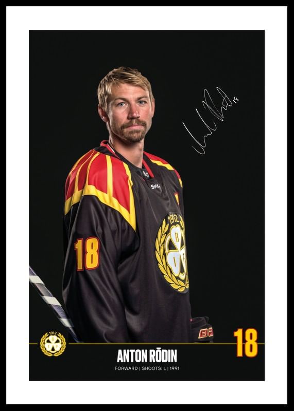 Anton Rödin #18 Brynäs IF 2024/2025-12