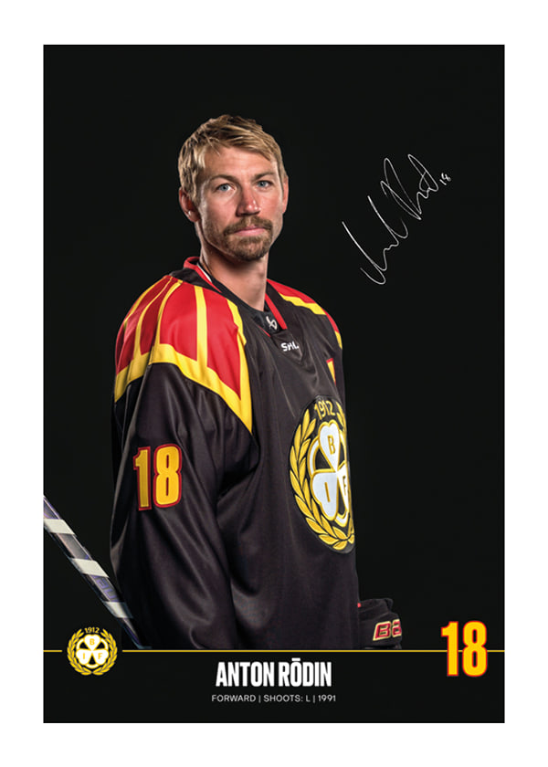 Poster Anton Rödin #18 Brynäs IF 2024/2025