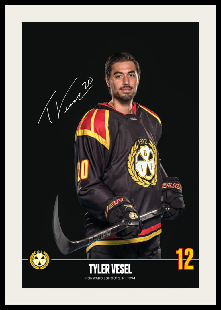 Tyler Vesel #20 Brynäs IF 2024/2025-12
