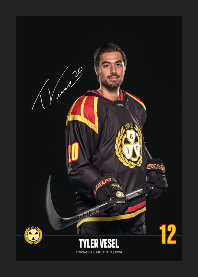 Tyler Vesel #20 Brynäs IF 2024/2025-12