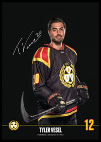 Tyler Vesel #20 Brynäs IF 2024/2025-6