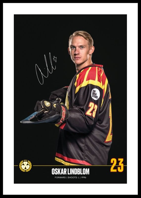 Oskar Lindblom #23 Brynäs IF 2024/2025-12
